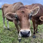 Radisson Blu Waterfront Hotel, Jersey 4*