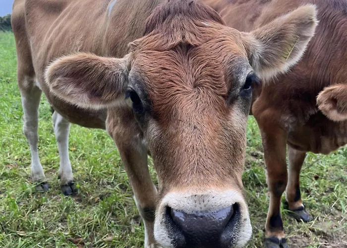 Radisson Blu Waterfront Hotel, Jersey 4*